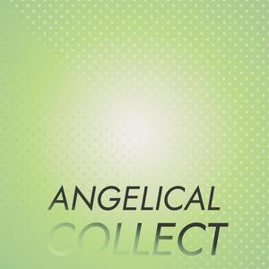 Angelical Collect