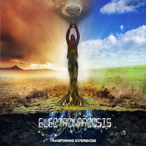 Strange Cookies (Electronarcosis Remix)