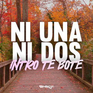 Ni Una Ni Dos (Intro Te Bote) (Remix)