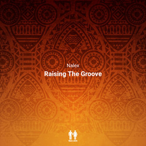 Raising the Groove