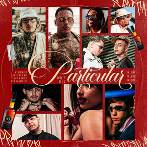 Particular (Explicit)