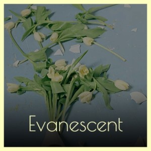 Evanescent