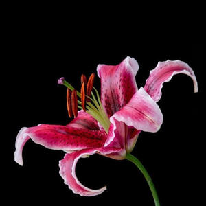 waste time w yu (Explicit)