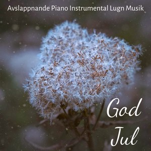 God Jul - Avslappnande Piano Instrumental Lugn Musik för Traditionell Jul Stilla Natt Chakran Clearing Terapi med Natur Binaural New Age Ljud