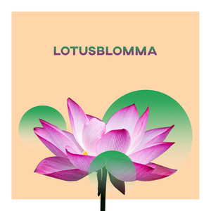 Lotusblomma: Lugna ner och lindra stress, Klardrömmande, Lugn spa musik avkoppling, Andlig förvandling, Reiki effekt