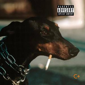 Don Carlos - Answer Me 1 & 2 (Explicit)
