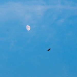 【breaking_bboy舞曲】Ambush Under The Moonlight(bboy edit)