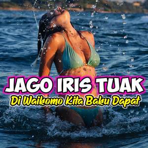 JAGO IRIS TUAK