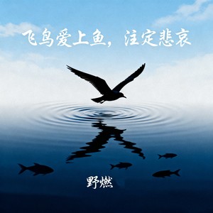 飞鸟爱上鱼注定悲哀