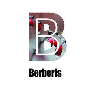 Slow Motion (Original Mix)