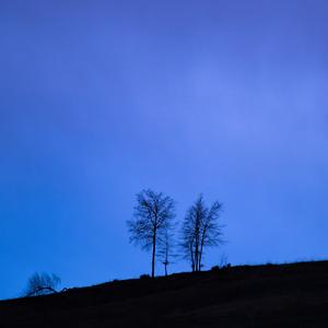 Half and Half (feat. NiqLaFlame) (Explicit)