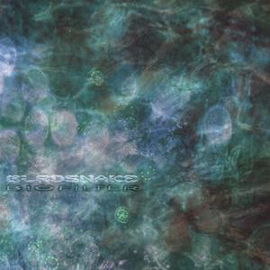 Mariana's Trench Coat