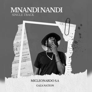 Mnandinandi (feat. Micleonardo S.A) [Explicit]