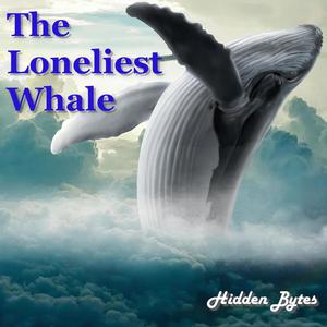 The Loneliest Whale