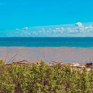 Hårdt dedikeret (feat. Zaki & Cuno) (Explicit)