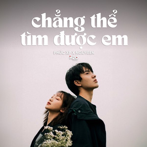 Chẳng Thể Tìm Được Em (Lofi)