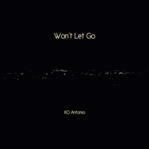 Won't Let Go (Explicit)