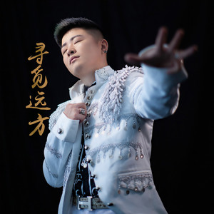 王耀东 - 寻觅远方