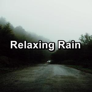 White Noise Rain For a Peaceful Night with Sleeping Music