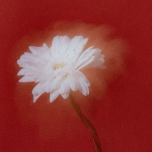 七月七日晴 (高音释放版)