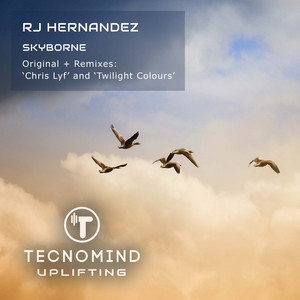 Skyborne (Chris Lyf Remix)