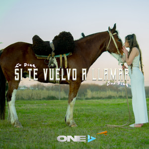 Si Te Vuelvo a Llamar
