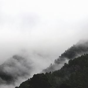 霽