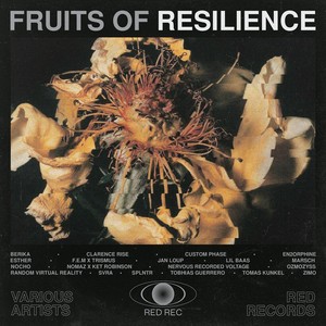 Fruits of Resilience (Explicit)