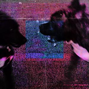 it's true (Normal Pitch) (feat. Prophe-C) (Explicit)