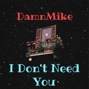 I Don't Need You (Explicit)