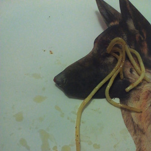 Waking up on Tuesday Morning