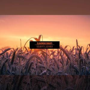 Volim piti ljudi moji