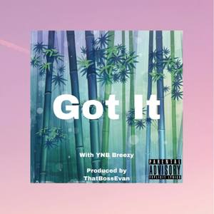 Got It (Explicit)