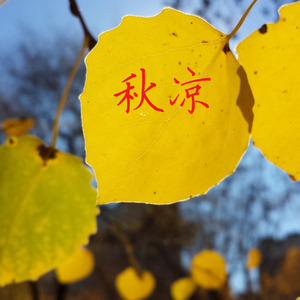 又在梦里遇见她DEMO