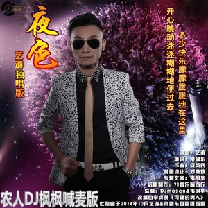 夜色 (DJ枫枫版|农人DJ枫枫版)