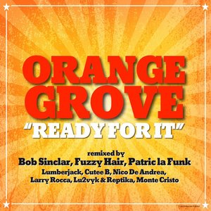 Ready For It (Nico De Andrea Remix)