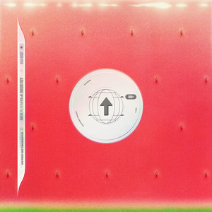 Watermelon Sugar - ASIA RISING FOREVER (Live)