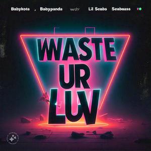 WASTE UR LUV (feat. Babypanda) [Explicit]