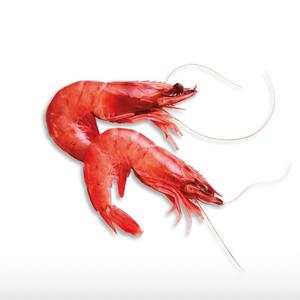 De Garnaal (Explicit)