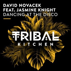 Dancing at the Disco (Extended Mix)