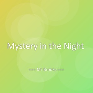 Mystery in the Night