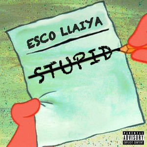 Stupid (Explicit)