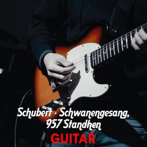 Schubert Schwanengesang, 957 Standhen Serenade GUITAR