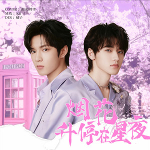 烟花升停在星夜