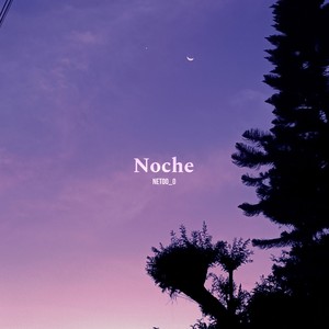 Noche
