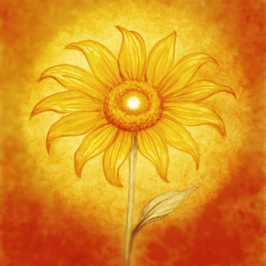 Para Vencer a Ilusão