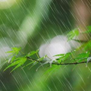 《回到过去》（浪花、钢琴、竖笛）舒压、静心、助眠、治愈｜好听音乐-团长