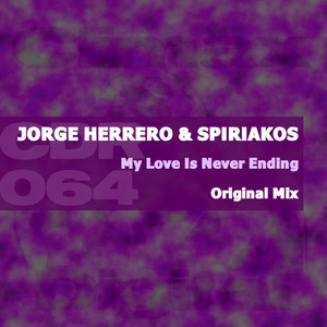 My Love Is Never Ending (Original Mix)