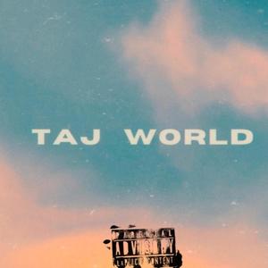 TAJ WORLD (INSRUMENTAL)