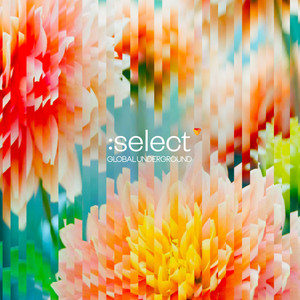 Global Underground: Select #5 (Explicit)